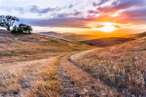 Walking Path On The Grassy Hills Of South San Francisco Bay Area At