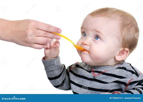 Cute Baby Eating Lunch Stock Photo Image Of Adorable 7036514
