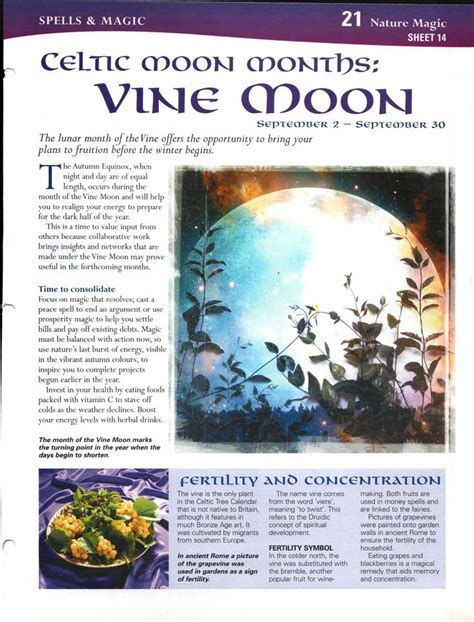 Celtic Moon Months Vine Moon Celtic Astrology Book Of Shadows Celtic