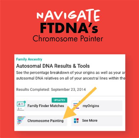 Chromosome Painting Ftdna And Andme Your Dna Guide Diahan Southard