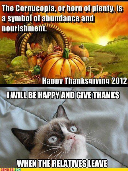 Even Grumpy Cat Has A Thankful Grumpy Cat Humor Grumpy