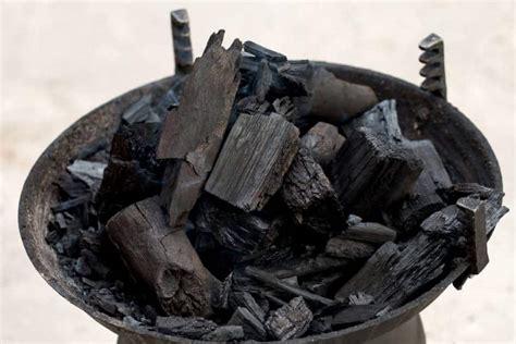 Are Charcoal Ashes Good For Plants And How To Use It Gardening Mentor