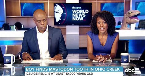 Nr (not rated) series, news series. View Abc World News Now Morning Anchors Pictures