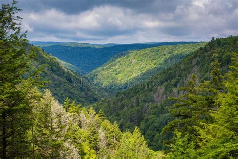 A View Of The Blackwater Canyon At Blackwater Falls State Park West