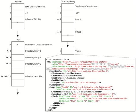 OME-TIFF specification — OME Data Model and File Formats 5 ... It is named after the joint photographic experts group, the organization which developed the format.