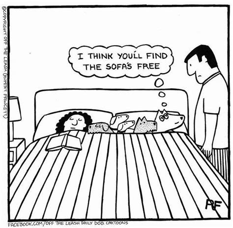 Off The Leash Rupert Fawcett Funny Cartoon Pictures Dog Quotes