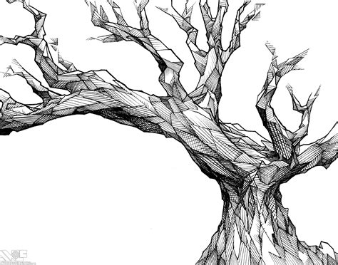 Ink Drawings Of Trees