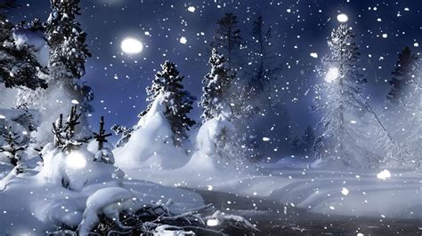 Nature Landscapes Christmas Trees Forest Snowing Snowflakes Winter Snow