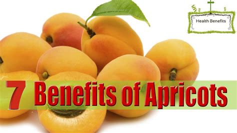 7 Amazing Health Benefits Of Apricots Apricot Benefits Apricot