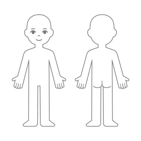 Drawing Of The Human Body Outline Front And Back Illustrations Royalty