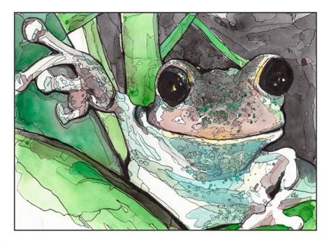 Tree Frog Poster Print