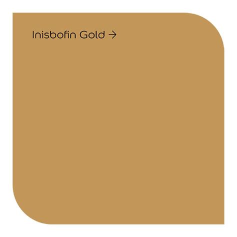 Weathershield Inisbofin Gold Dulux Masonry Paint Pat Mcdonnell