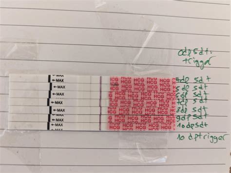 4dp5dt-10dp5dt progression, CD 29, Wondfo, Beta Hell : r/TFABLinePorn