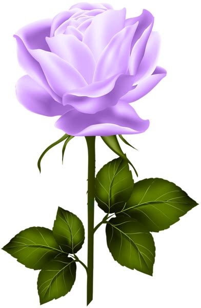 purple rose with stem png clip art flower clipart flower drawing beautiful rose flowers
