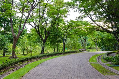 Pedestrian Walkway For Exercise With Trees In Park — Stock Photo