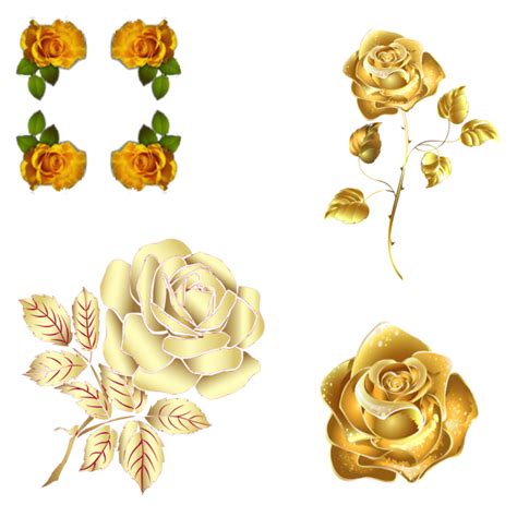 Golden Roses Gold Roses Png And Psd File For Free Download