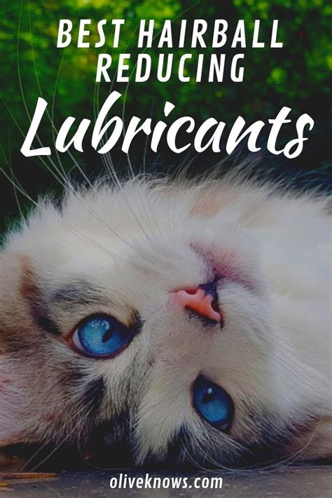 I live in florida, i understand that it is shedding i'm just concerned about the number or hair balls i have seen. Best Hairball Reducing Lubricants | Cat health, Cat ...