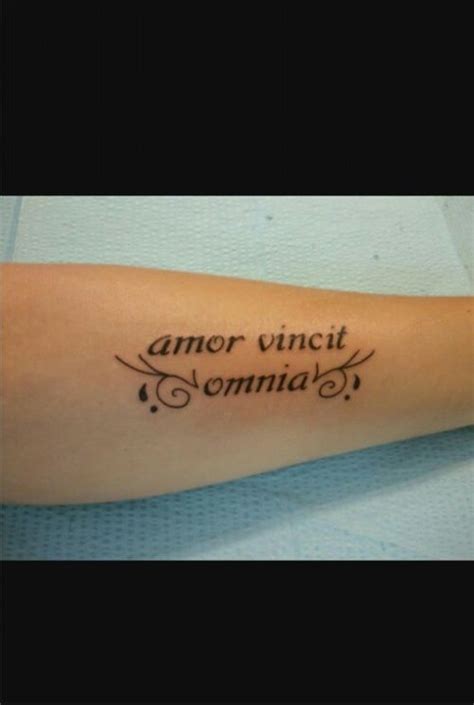 latim amor vincit omnia tradução o amor vence tudo tattoo quotes tattoos piercings