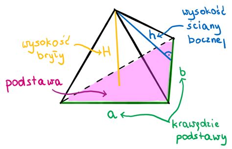 Ostros Upy Na Luzie Rodzaje Obliczanie Pola Powierzchni I Obj To Ci