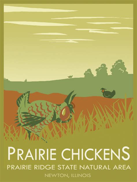 Prairie Chicken Poster By Orinocou On Deviantart