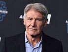 Harrison Ford Gets Results Of FAA Investigation Into Hawthorne Incident