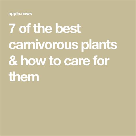 7 Of The Best Carnivorous Plants And How To Care For Them Carnivorous
