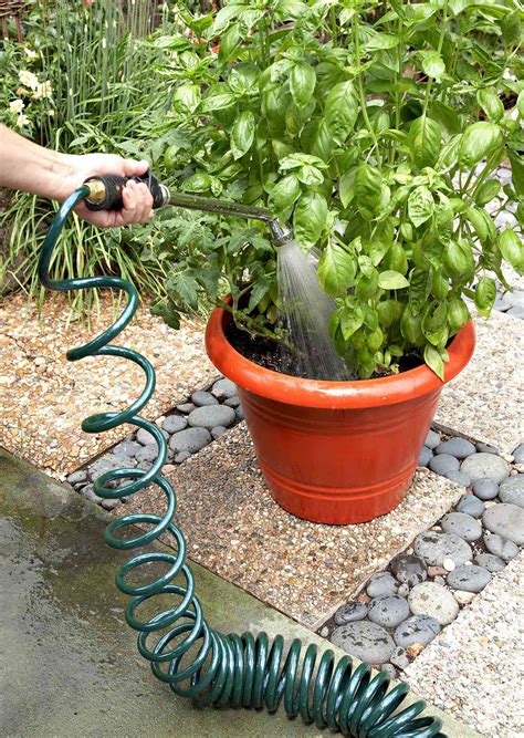 How To Grow Potted Plants Both Inside And Outdoors Better Homes