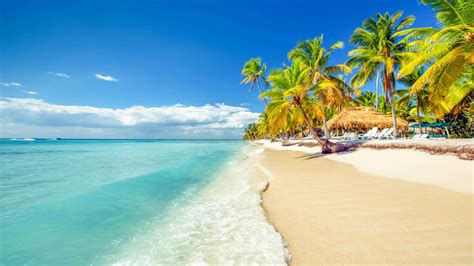 Den Dominikanske Republik 2021 Top 10 Ture Rejser Og Aktiviteter Med