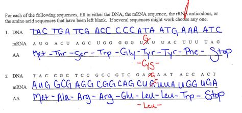 A t g g g g a g a t t c a t g a translation protein (amino acid sequence): EC Honors Biology: April 2013