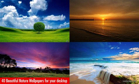 Best wallpapers * you can download the best wallpapers we have prepared for you for free, we have a lot of different topics like phone, pc, desktop, 4k. Download Nechar Wallpaper Download Gallery