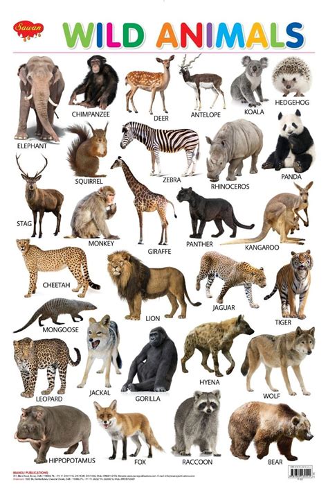 You Searched For Wall Charts Hello Book Mine Animal Pictures For