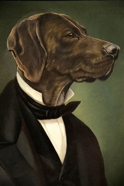 Thierry Poncelet Dog Portraits Ads Design World