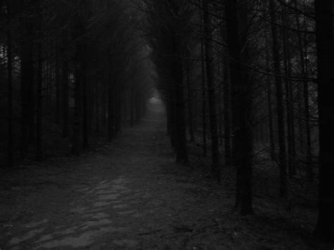 Walking Through A Scary Forest Flickr Photo Sharing