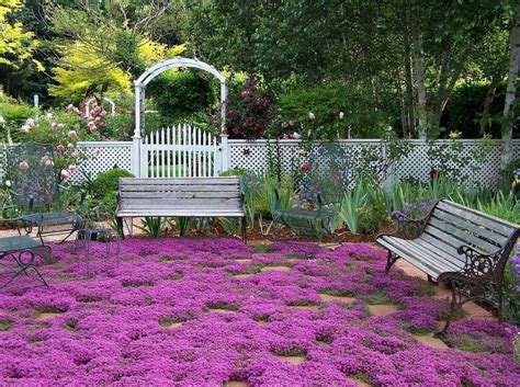 Perennial Ground Cover Shade Zone 4 How To Do Thing