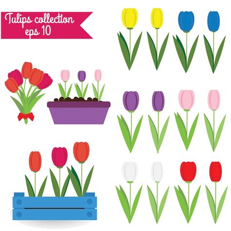 Colección De Tulipanes Vector Premium