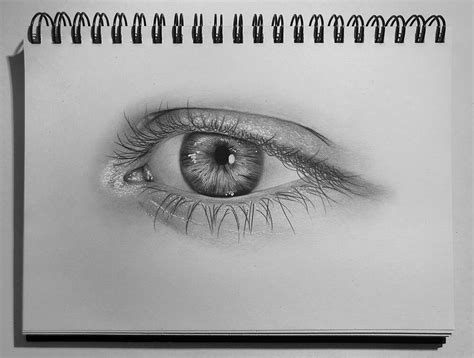 Realistic Drawing Of Eyes Draw Spaces