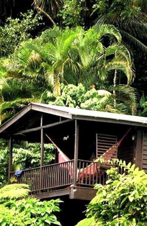discover glamping amidst the rainforest in nature cabins near roseau dominica this is sure to