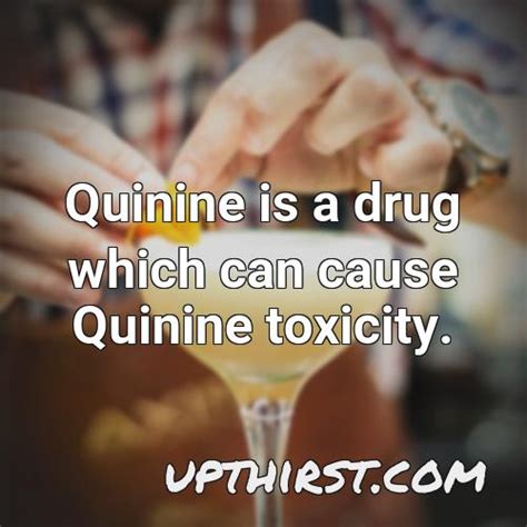 Does All Tonic Water Have Quinine In It Expert Guide Upthirst
