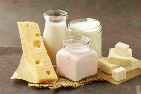 11 Productos Lácteos Yogur Y Otros Derivados De La Leche