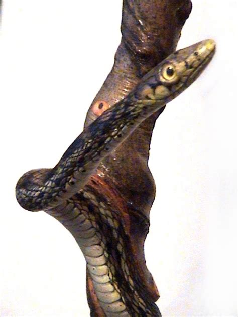 Mike Pounders Wood Carving Snake On A Stick