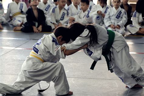 9 Reasons Why Brazilian Jiu Jitsu Is The Perfect Martial Art Evolve Daily