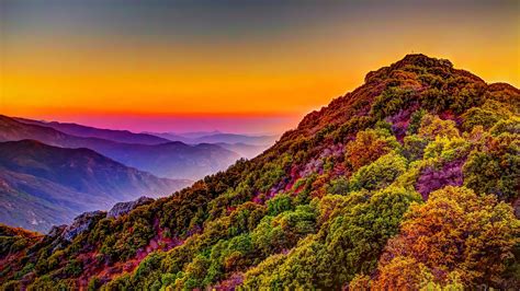 Mountain Colorful Forest Nature Sunset Scenery 4k 161 Wallpaper