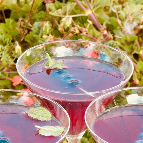 High Country Blueberry Martini Recipe Pechey Distilling Co