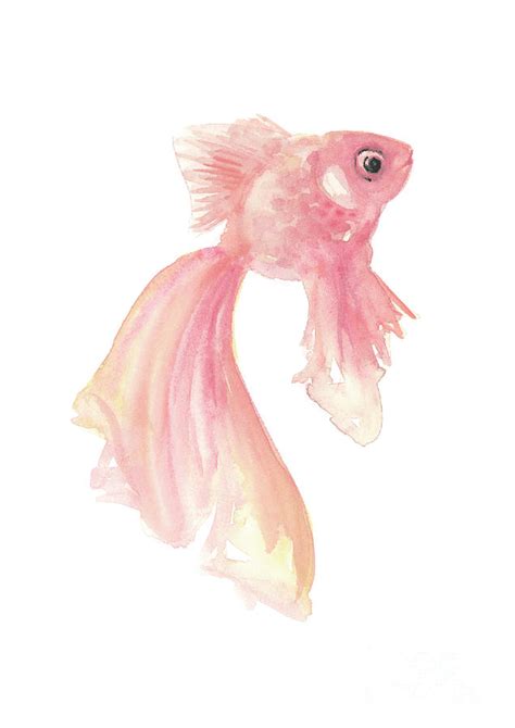 Pink Golden Fish Pink Koi Fish Pink Fish Poster Koi Fish Print Koi