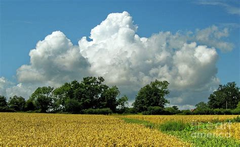 Cumulus Congestus Clouds Over A Field Photograph By Stephen Burt