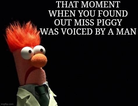 Beaker Muppets Funny Memes Witty Silly Muppets Muppet Meme