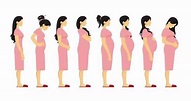 准妈妈必看的孕期知识：孕期身体变化应对攻略_起跑线亲子网|QPX.COM