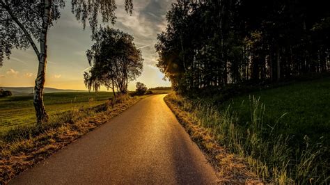 Countryside Road Trees And Sunshine Wallpapers Wallpaper Cave