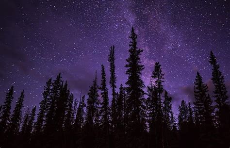 Stars Forest Woods Night Sky Dark Landscape Galaxy