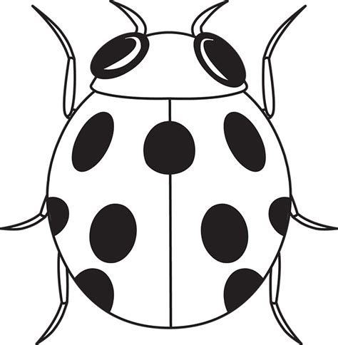 Animals Black And White Outline Clipart Ladybug Insects Black White